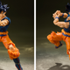 Illustration for article titled Rare Gokus Possibly Lost At Sea After Major Shipping Accident